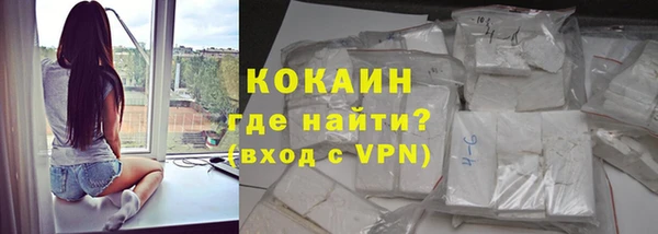 сатива Арсеньев