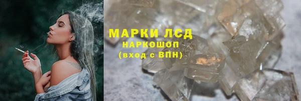 сатива Арсеньев