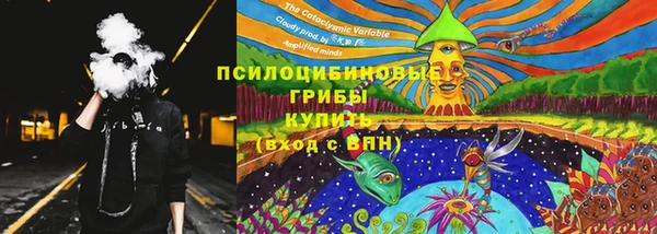 сатива Арсеньев