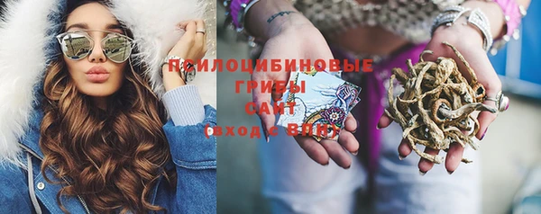 дживик Армянск
