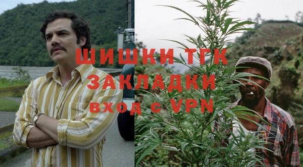 сатива Арсеньев