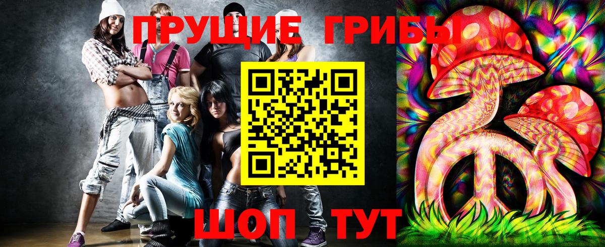 Златоуст  Псилоцибиновые грибы Cubensis  Вход с VPN 