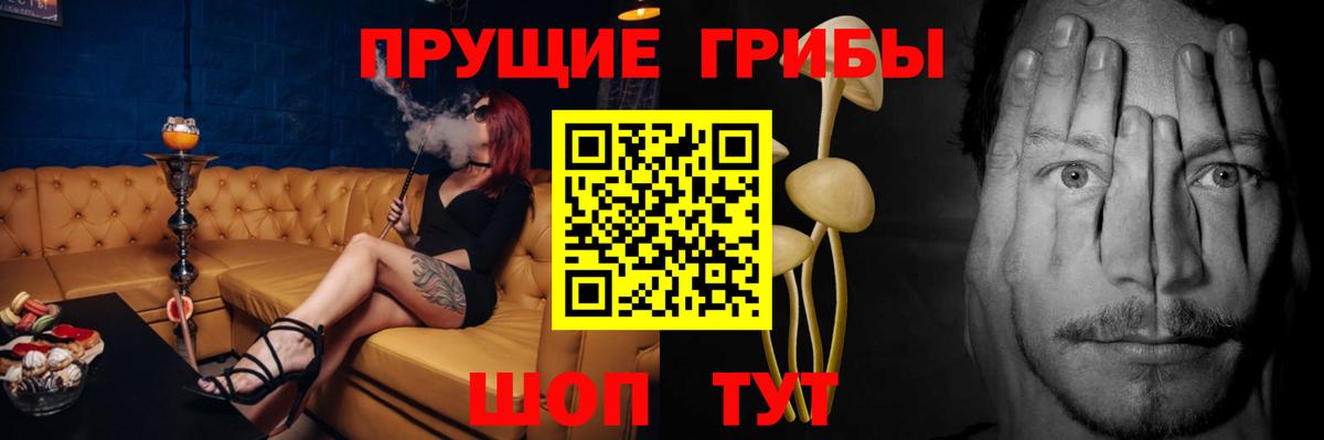 Псилоцибиновые грибы GOLDEN TEACHER Златоуст