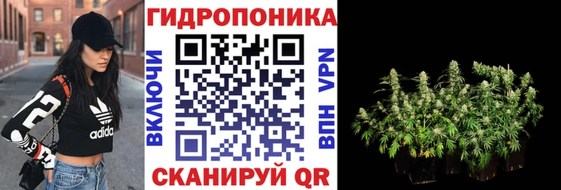 Марихуана White Widow  наркота  Златоуст 